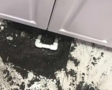 弋江查漏水哪家好